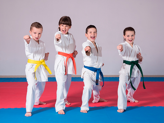 Atividades Extras Judo